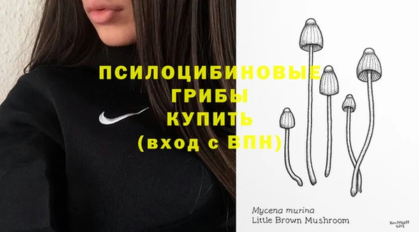 скорость Белокуриха