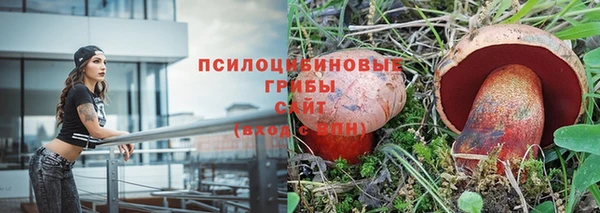 молекула духа Белоозёрский
